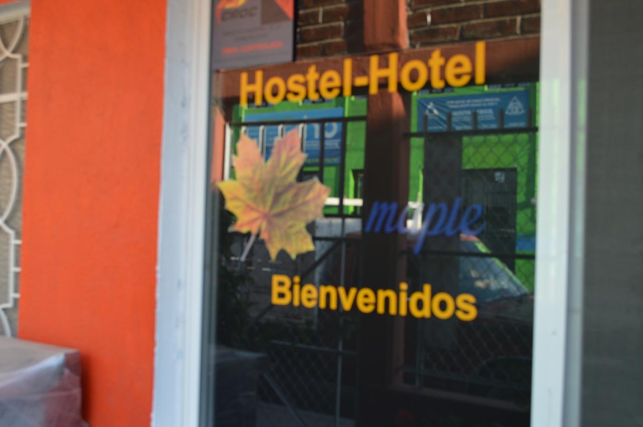 Hostal Maple Querétaro Eksteriør bilde