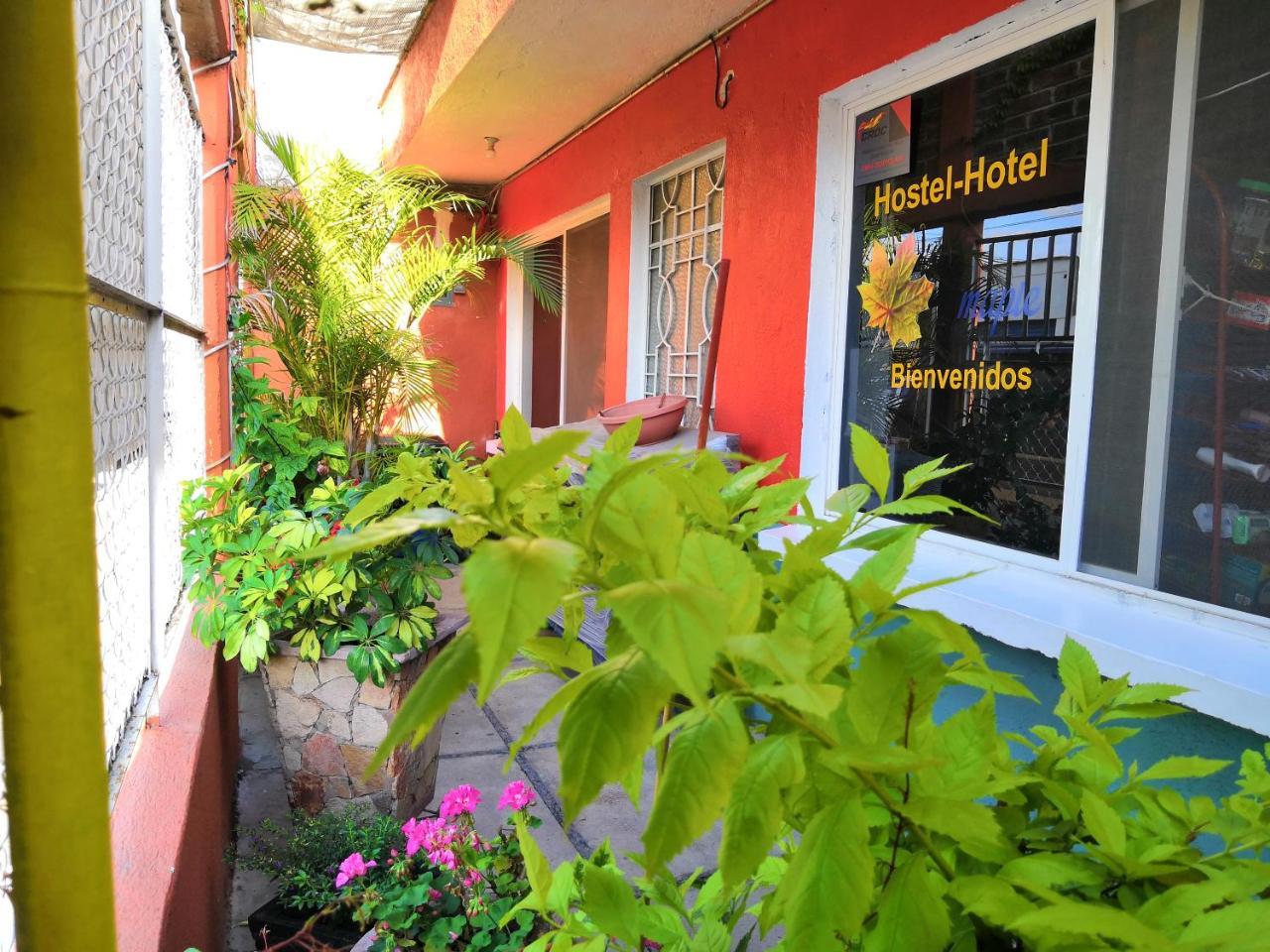 Hostal Maple Querétaro Eksteriør bilde